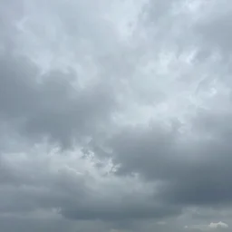 Above him there was nothing now but the sky—a high sky, not clear, but still immeasurably high, with gray clouds quietly creeping across it.