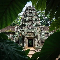 seeing ancient civilization hiding behind leaves in jungle