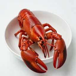 lobster, bowl