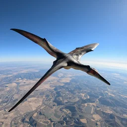 gopro photo first person perspective sky diving with quetzalcoatlus pterosaur known from the late cretaceous period