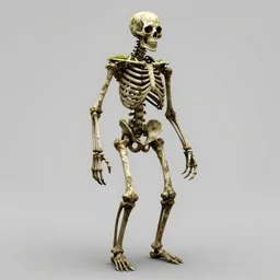 mossy skeletal remains of a humanoid creature, digital art