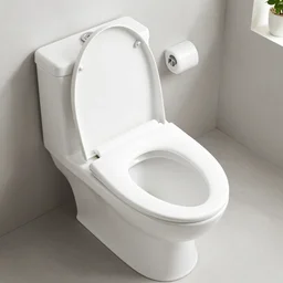 my wife left me for an automatic toilet