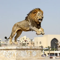 lion of kasr el nil leaping above Tahrir square