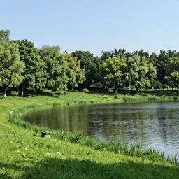 Nature around the lake, trees grass, sky, landscape