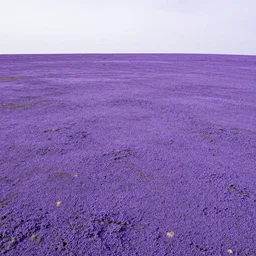 landscape covered in purple mold, wide, from a distance