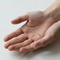 hyperdetailed hands, realistic, 8k