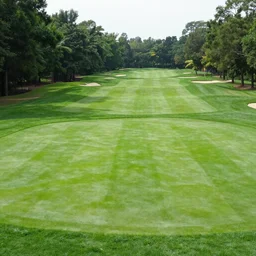 lush golf course surrounded by forests on fire
