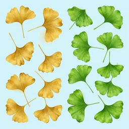 gingko leaves ; contours ; green leaves on light blue background on the left side ; golden leaves on a dark blue background on the right side