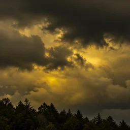 yellow clouds and black sky, creepy sky, dark trees, yellow clouds
