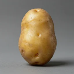A potato by H.R. Giger