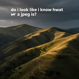 do i look like i know hwat a jpeg is?