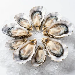 Photograph of a oysters on ice, high-definition Michelin Star Quality