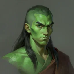 head and shoulder portrait of a green or 0 c monk, black hair, d & d, pathfinder, fantasy art, trending on artstation