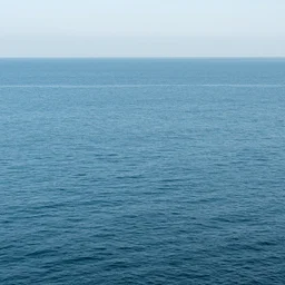 [ the ocean ]