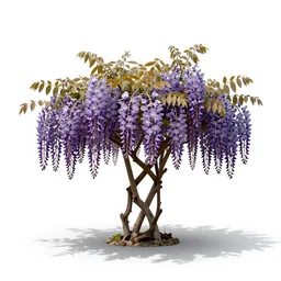 iridescent wisteria, studio photography, full body, isolated on a pure white background, centered, entire subject in frame, sharp focus, soft studio lighting