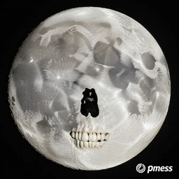 the moon but it's a giant skull, associated press award winning photo