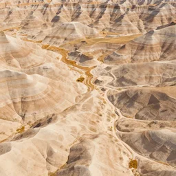 aerial overhead close up shot of badlands ground in a vector art screen print style like an old national park poster with tuft grass and rocks in golden hour lighting
