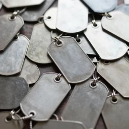 a sea of dog tags,