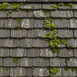 tileable seamless texture of japanese roof shingles with moss, very cartonish, very detailed, beautiful, intricate details, digital painting, sharp focus, substance designer, digital painting, substance render, substance painter, marmoset, goro fujita, studio ghibli, hayao miyazaki, low poly art, unreal engine, octane render