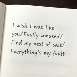 “I wish I was like you/Easily amused/ Find my nest of salt/ Everything’s my fault.”