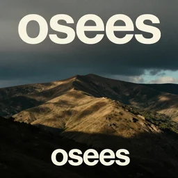 album cover, osees, o sees, os ees, ose es, ose es, osee s, osees, o sees, os ees, ose es, ose es, osee s