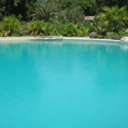 Award Winning Nature Photo Of A Pool In Nature, 4K, Photorealistic