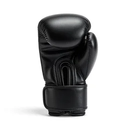 boxing gloves, studio product photography, isolated on a pure white background, centered, entire object in frame, sharp focus, soft studio lighting