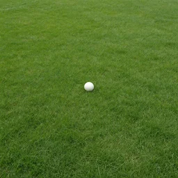 Photograph of a ball in the grass far from the camera. Rendering distance 10