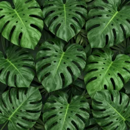 Tropical leafs wall in jungle, trending on artstation, 30mm, by Noah Bradley