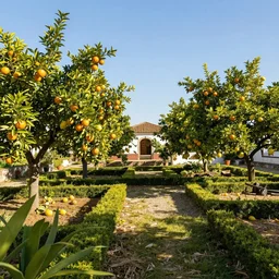 a beautiful sunny afternoon in Northern Portugal, countryside, gardens with orange trees and lemons trees