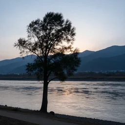 Tree, mountains, river, landscape, photo, 4k, wind,reflections, realistic, camera, sunset, cold tones