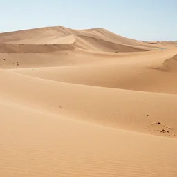 desert dunes, by charles o'rear,