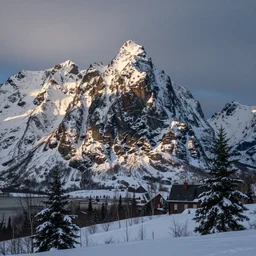 a mountainside in winter, big musks, by hans gude, by adolph tidemand, norwegian romantic nationalism