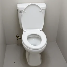 a toilet with bullet holes.