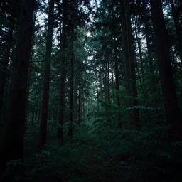 forest in another dimension background dusk in the style of Michael Vincent Malo