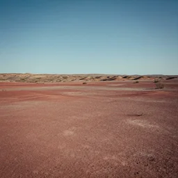 desolate candy land