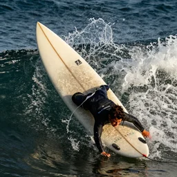you don't surf, you've never surfed, lying little shit
