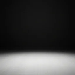 the singularity as a point in the void