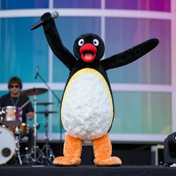 Pingu performing live at Coachella - W 1024