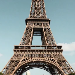 the Eiffel Tower cover by weed