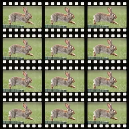 a video of a rabbit jumping up over a fence, shown as a film strip showing 9 stills in a grid