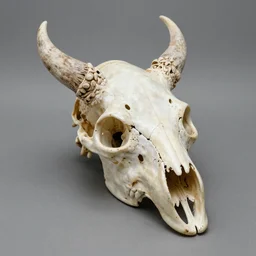 groot dragon skull