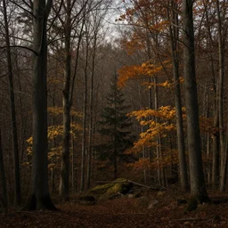 landscape painting of an autumn forest, renaissance, ultra detailed, 4 k, hd, artstation, wallpaper, cinematic composition, low saturation, high contrast