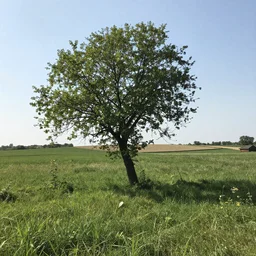 Burlaki na Volge