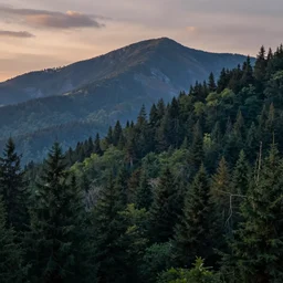 beautiful matte painting of a forest at dusk. mountains, fantasy.