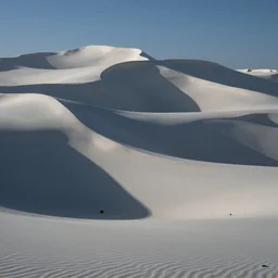 ong jemal in tunisia