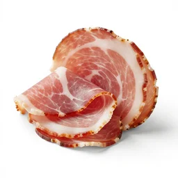 turquoise prosciutto, clean 3d render, octane render, isolated on a pure white background, centered, entire object in frame, sharp focus, soft studio lighting