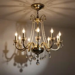 tartigrade chandelier, photo