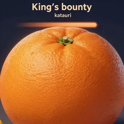 a very close - up orange, in concept art of main menu loading screen background. for russian mmorpg king's bounty by katauri, by 司 机, 橡 树 山 雨, 黄 凤 年 啊, artstation, behance, style of hearthstone