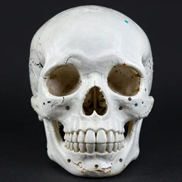 a sugar skull by artist Keith Harring -3